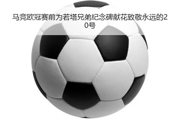 马竞欧冠赛前为若塔兄弟纪念碑献花致敬永远的20号